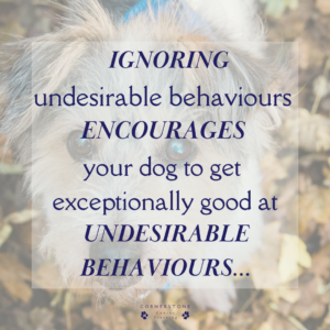 Dog behaviour Dog training