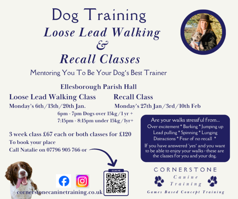 Dog training class