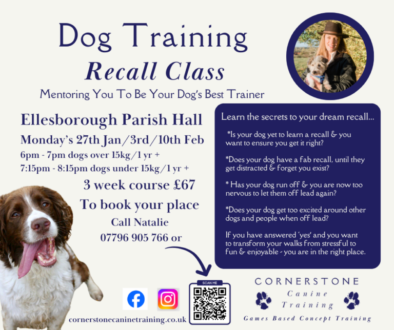 Recall Dog Training Class